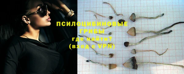 тгк Абдулино