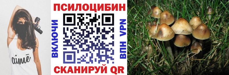 Галлюциногенные грибы Psilocybe  блэк спрут зеркало  Княгинино  цены наркотик 
